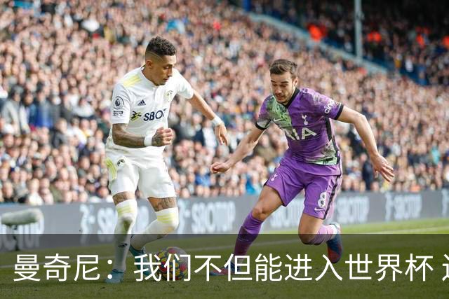 曼奇尼：我们不但能进入世界杯 还能赢得冠军